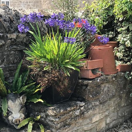 Norburton Hall Cottages Bridport Bagian luar foto