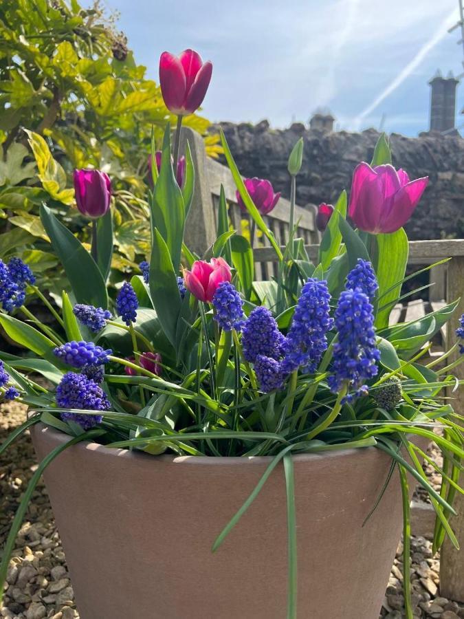 Norburton Hall Cottages Bridport Bagian luar foto