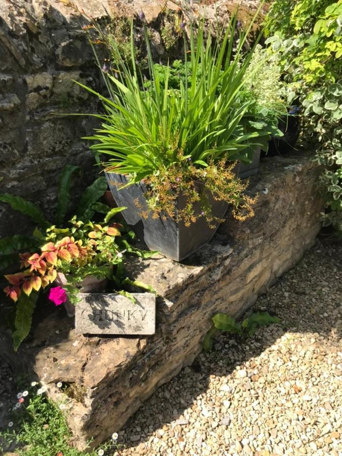 Norburton Hall Cottages Bridport Bagian luar foto